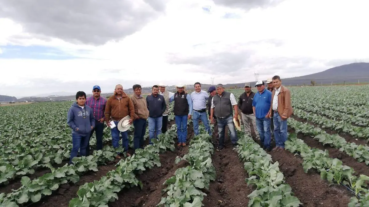 Productores