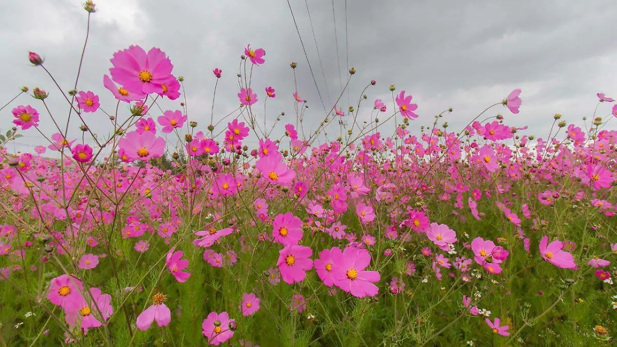 d0656a83-59f1-4111-8b8d-7f700f401b15