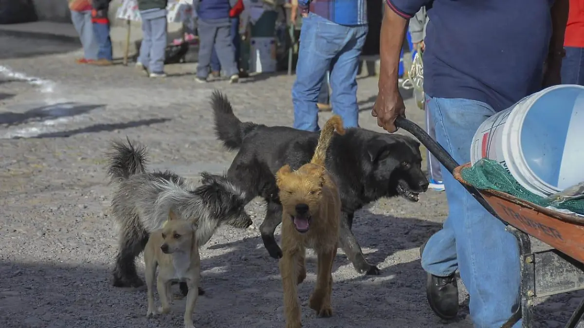 b5b5d71c-3160-485a-b22b-4f03210b1d0d