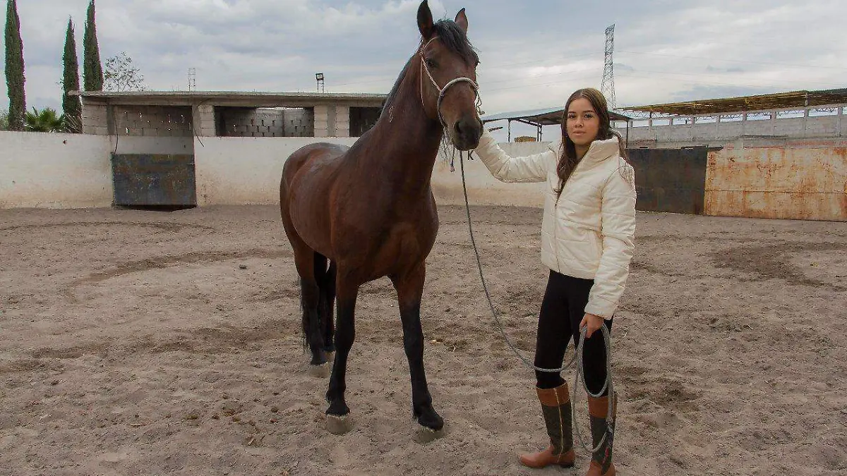 eebf9941-ec18-46fe-99ba-dbb6584c01b9