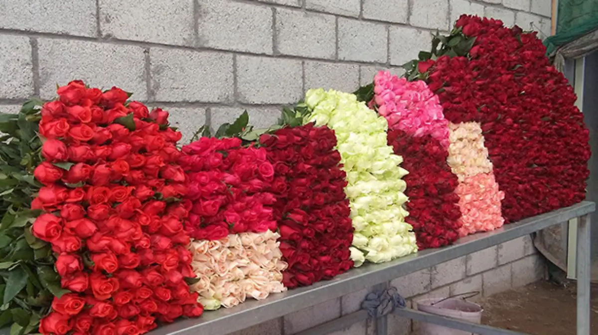 las-rosas