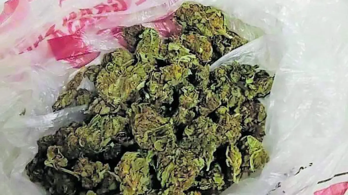 SJR POLI EL OTRO FUE_CMYK