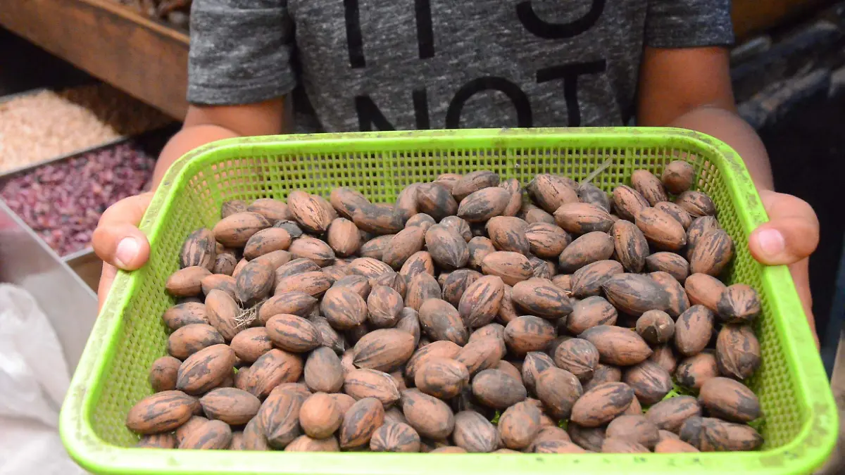 Agricultores del municipio le apuestan a la siembra de fruto seco.