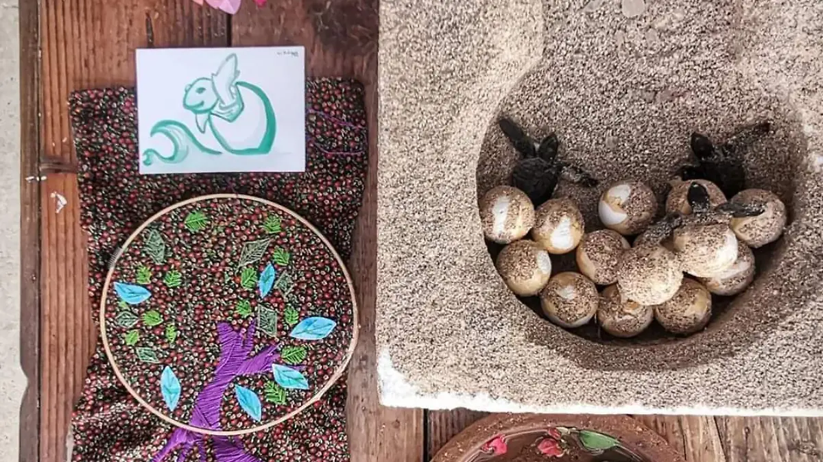 SJR Concientizacion sobre el medio ambiente