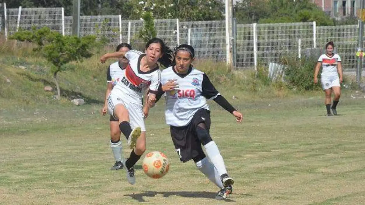 DEP-2 EL TORNEO