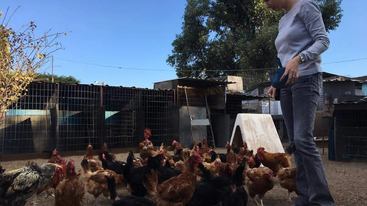 SJR Gallinas
