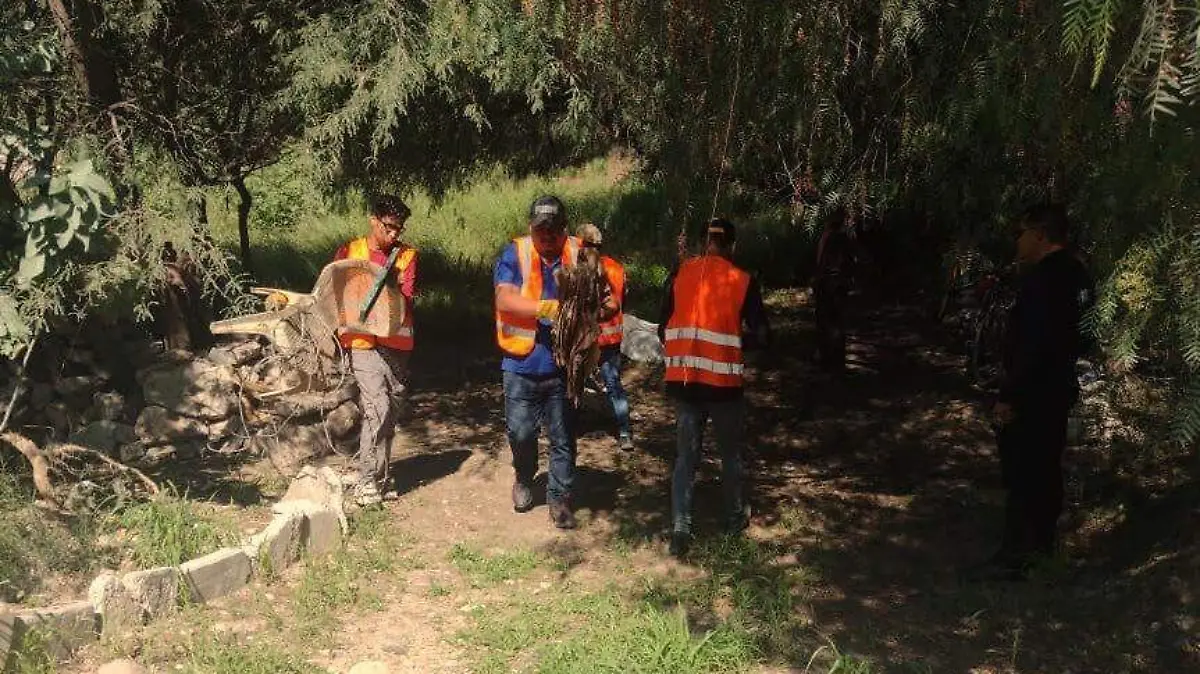 SJR_Trabajan en fines