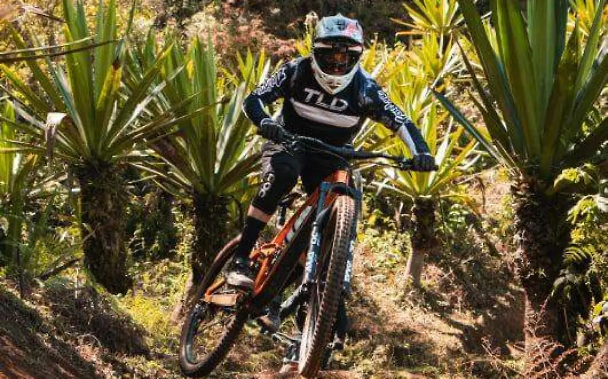 602da309-a8c9-4ff5-a992-bfc919993c99