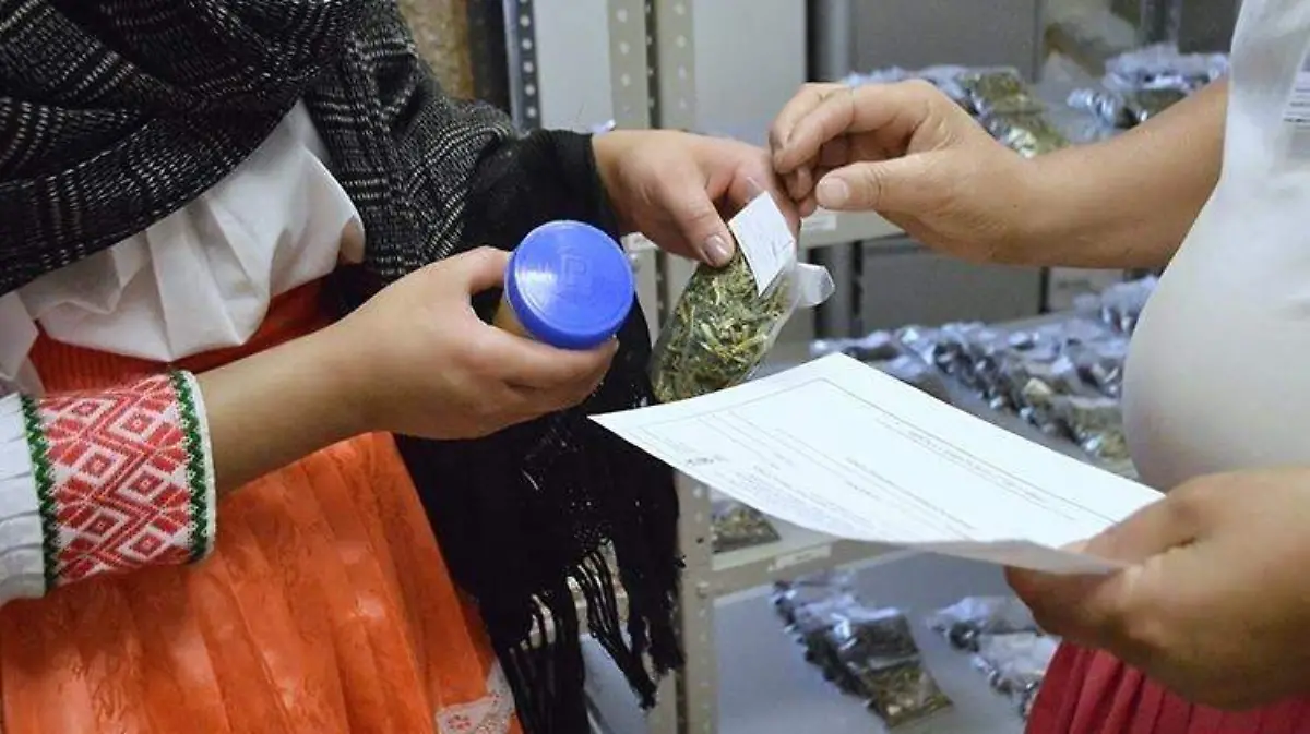 Seseq aplica Programa