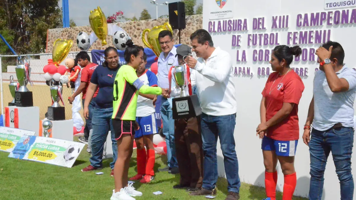 31 04 COMODIN 1 VIZARRÓN