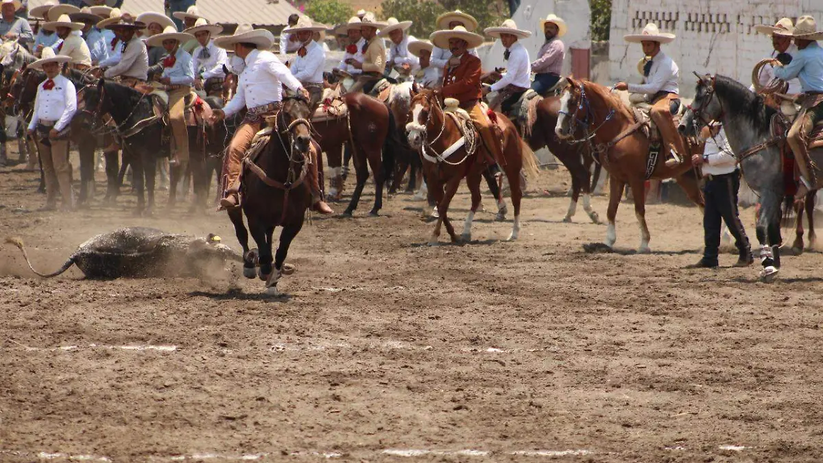 1f1672db-6b3c-42f8-9978-61b62d6742b5