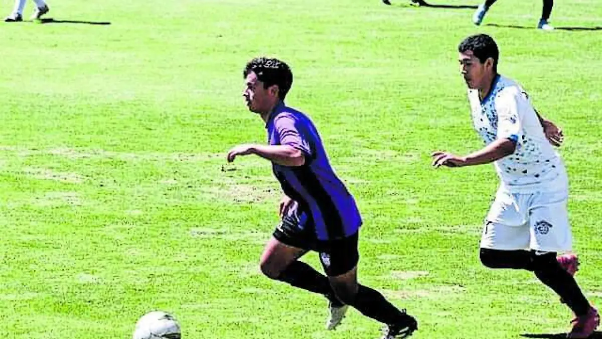 DEP 31 LOS LOCALES_CMYK