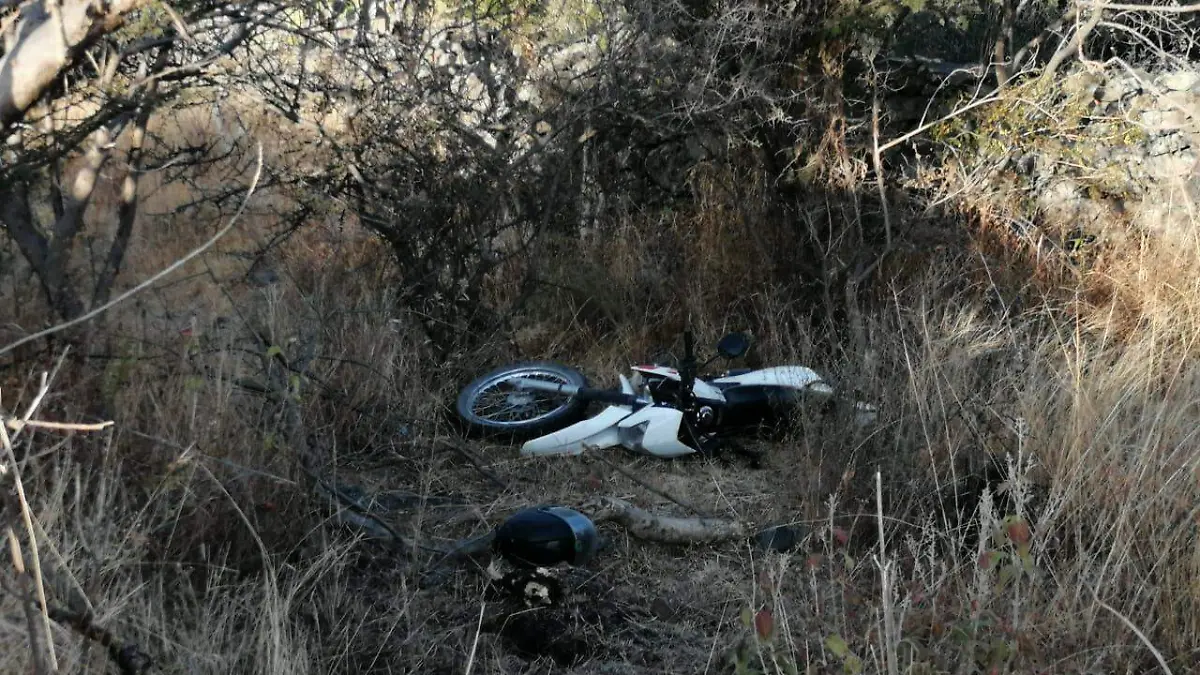 WhatsApp Image 2020-12-09 at 7.00.39 PM