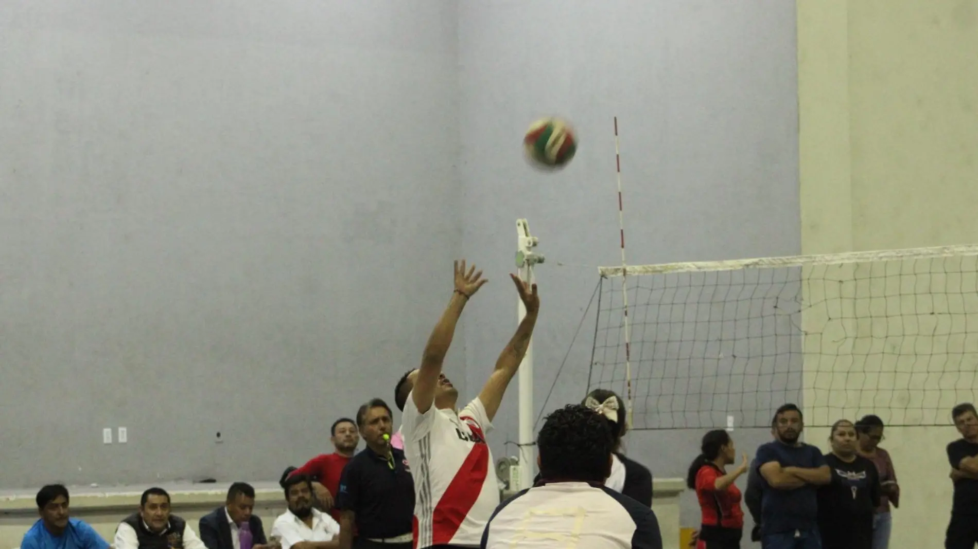 Voleibol