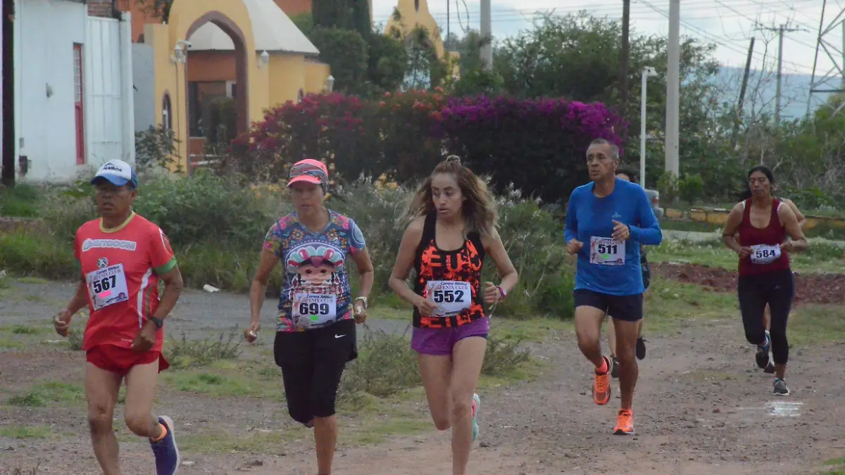 31 01 PRINCIPAL NOVEDADES