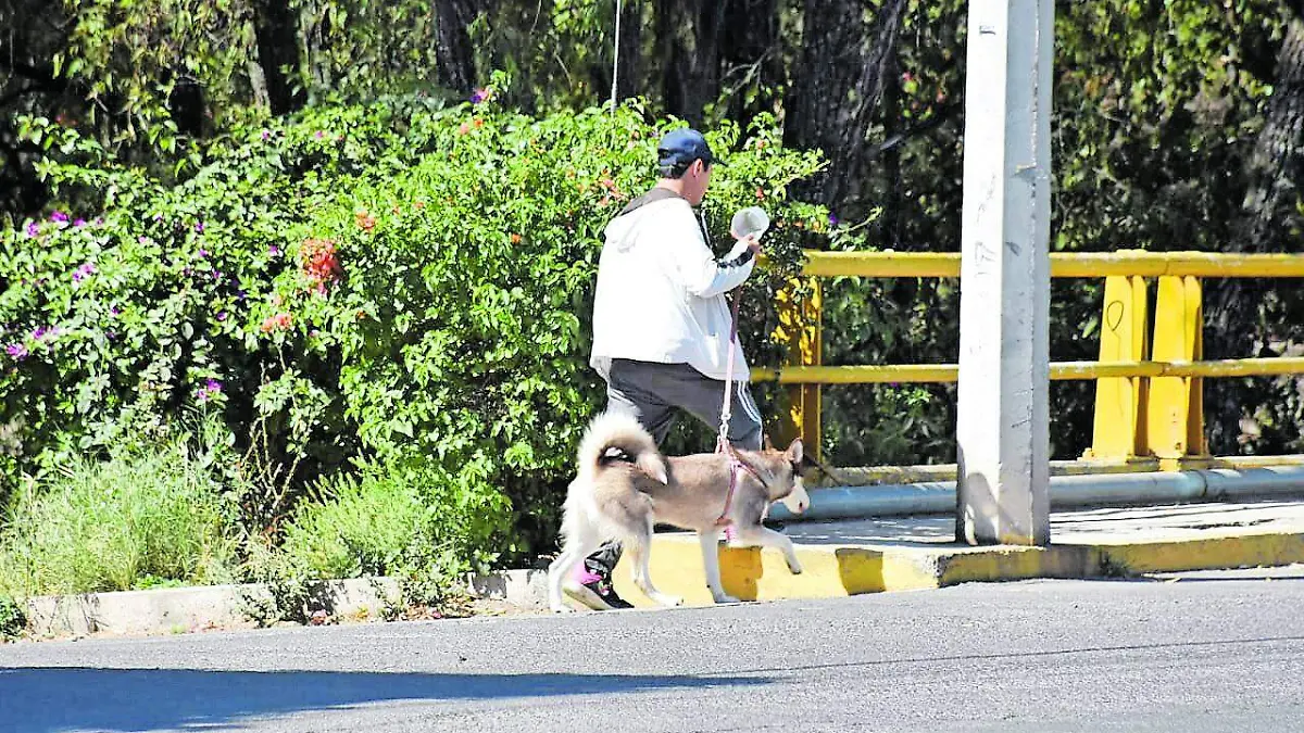 sjr Esperan los informes de la_CMYK