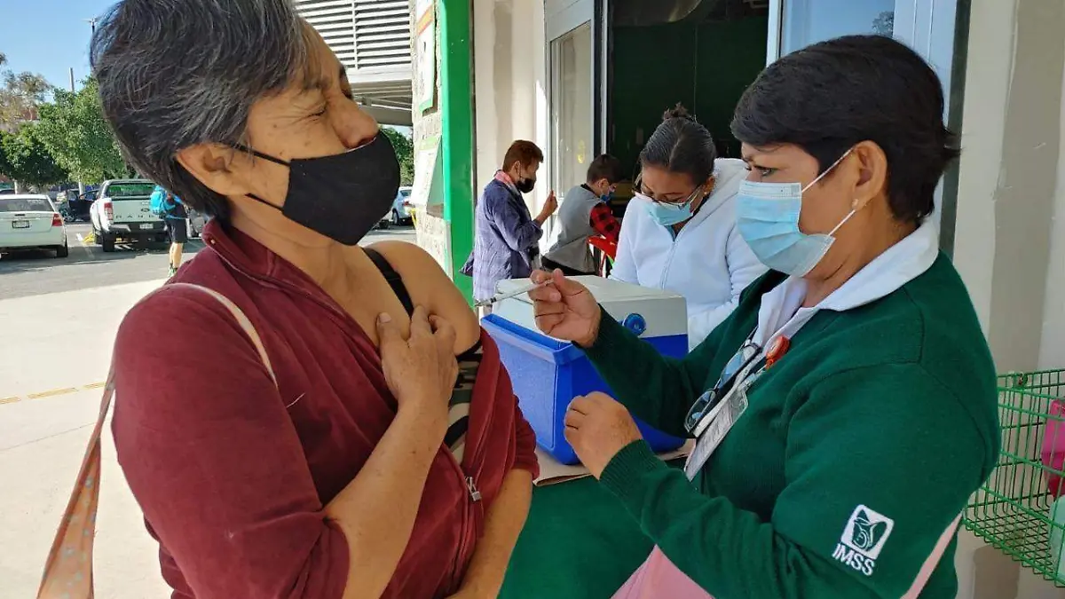 IMSS vacuna