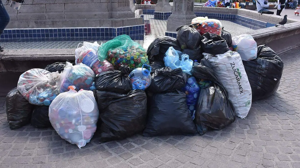 SJR REcoleccion de tapitas