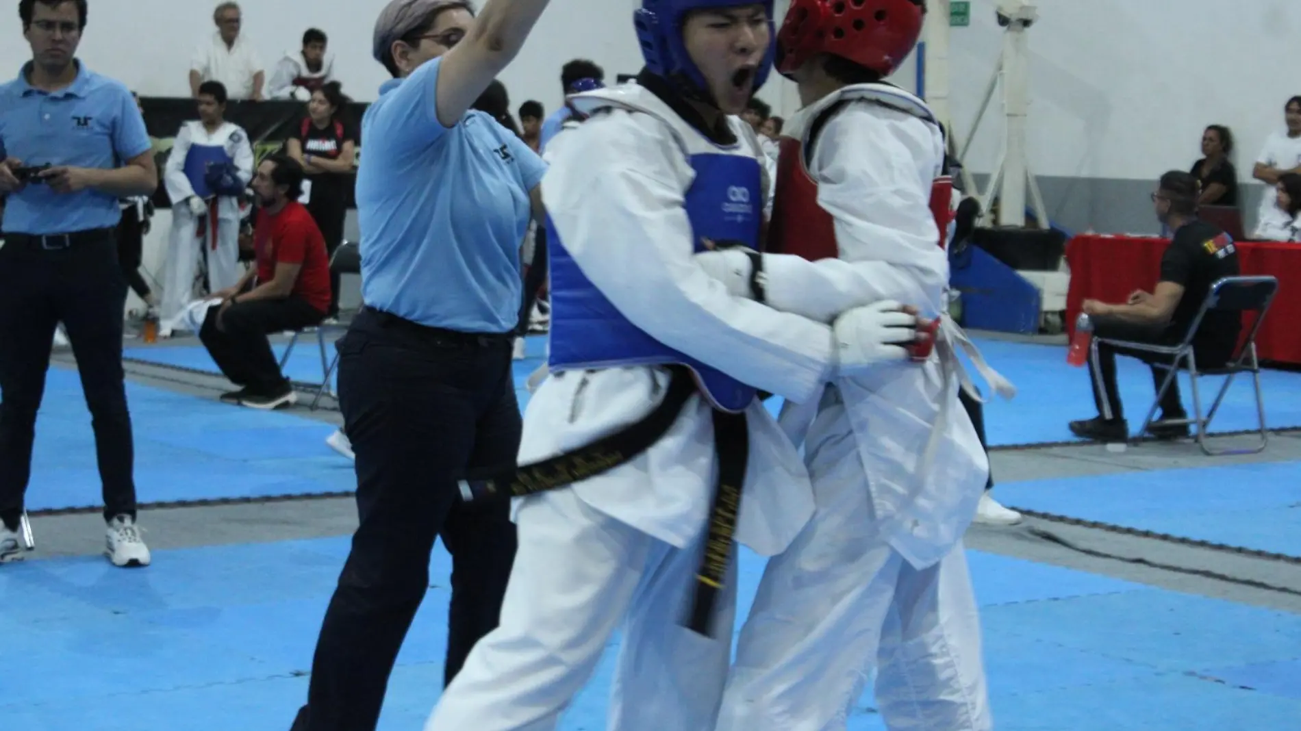 Taekwondo