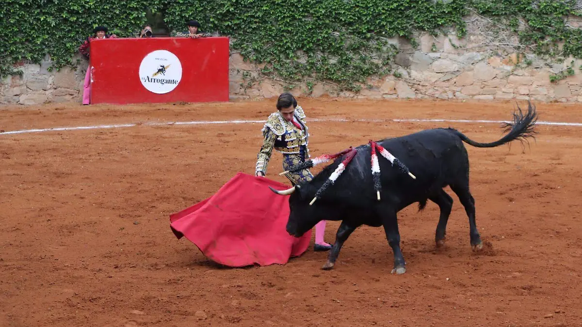 toros