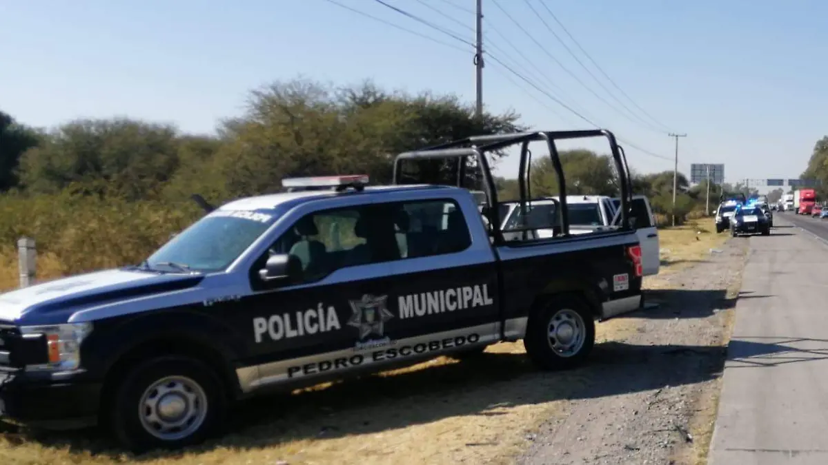 WhatsApp Image 2020-12-24 at 4.01.20 PM