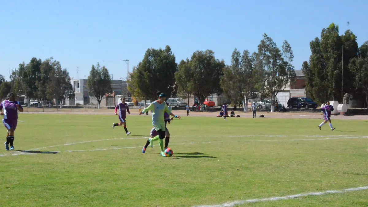 31 01 PRINCIPAL LISTOS