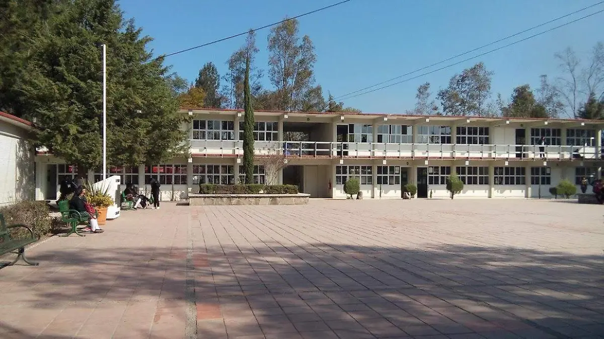 A partir de los próximos días tendrán vacaciones de fin de año los estudiantes del