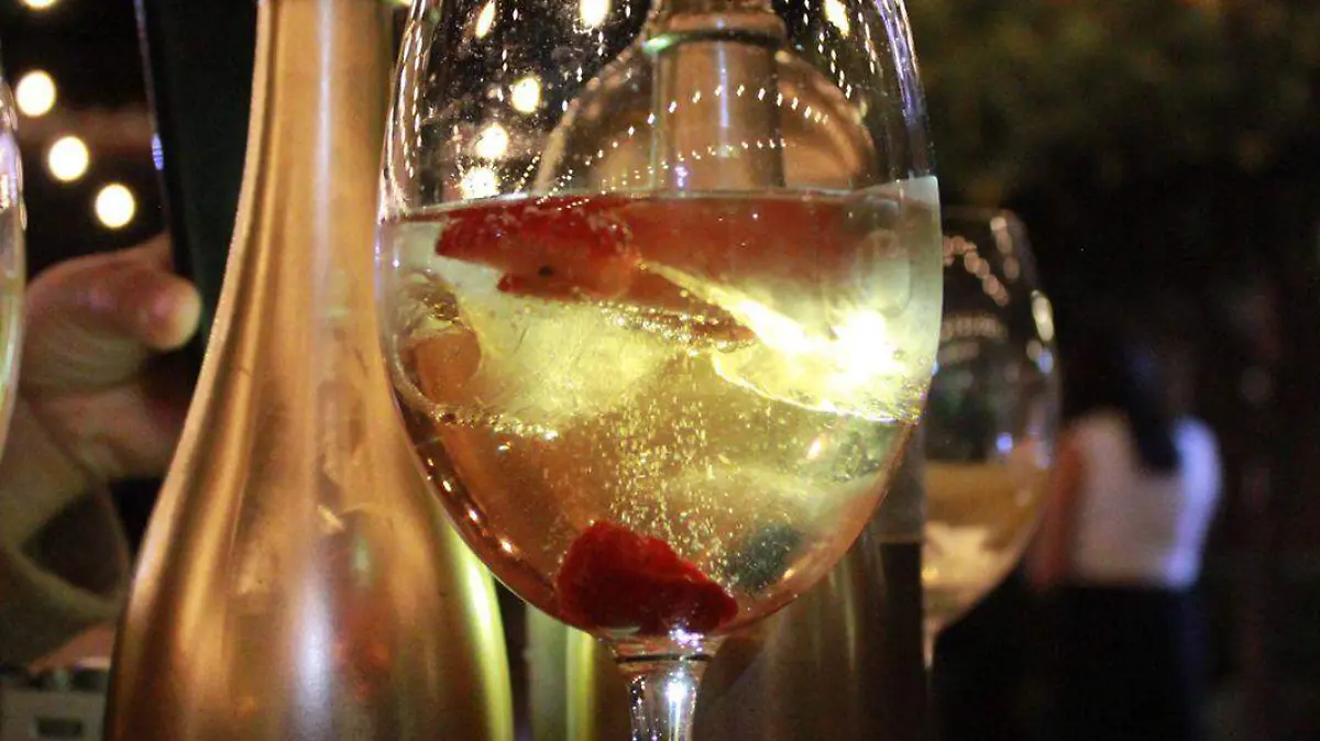 SJr Degustacion de vinos