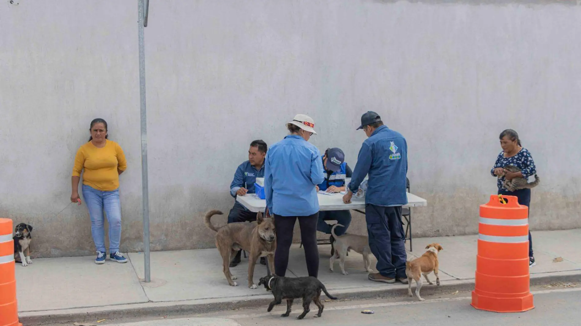 esterilización