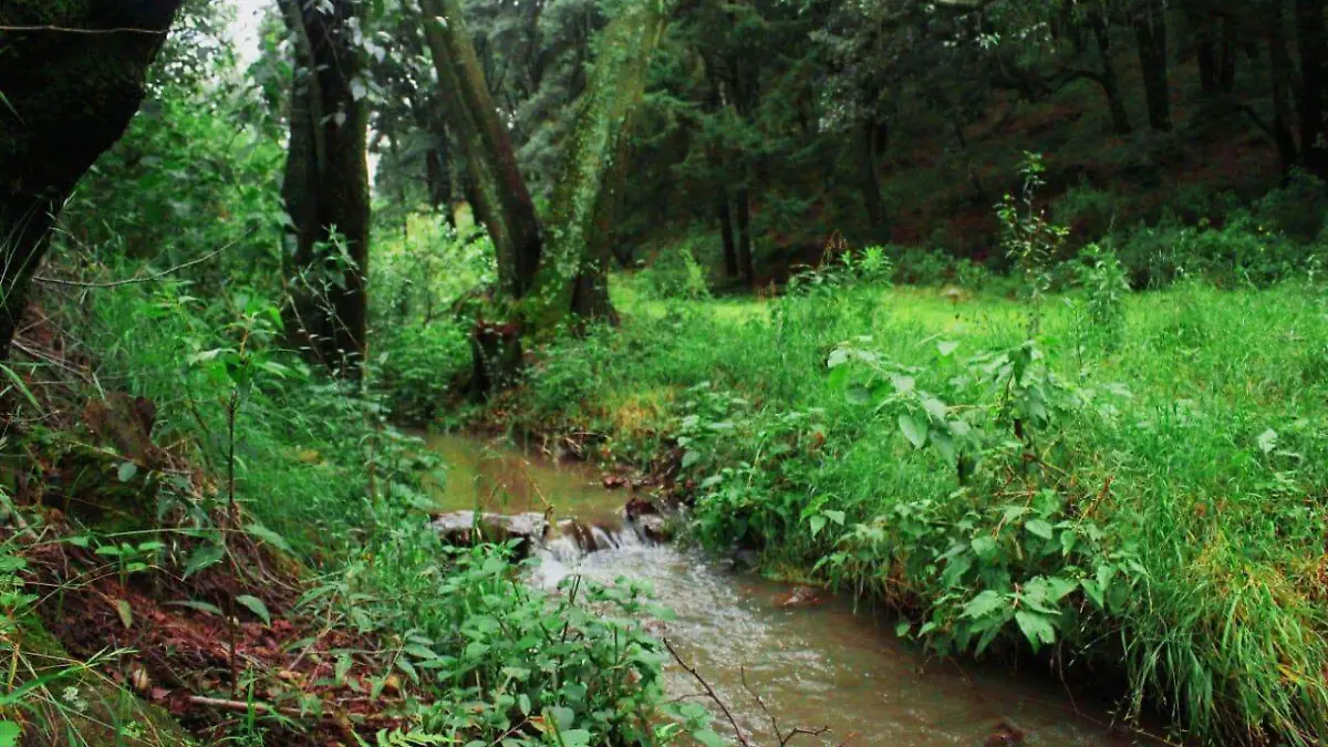 Se correrán las distancias de 3,5,10 y 21 kilómetros.