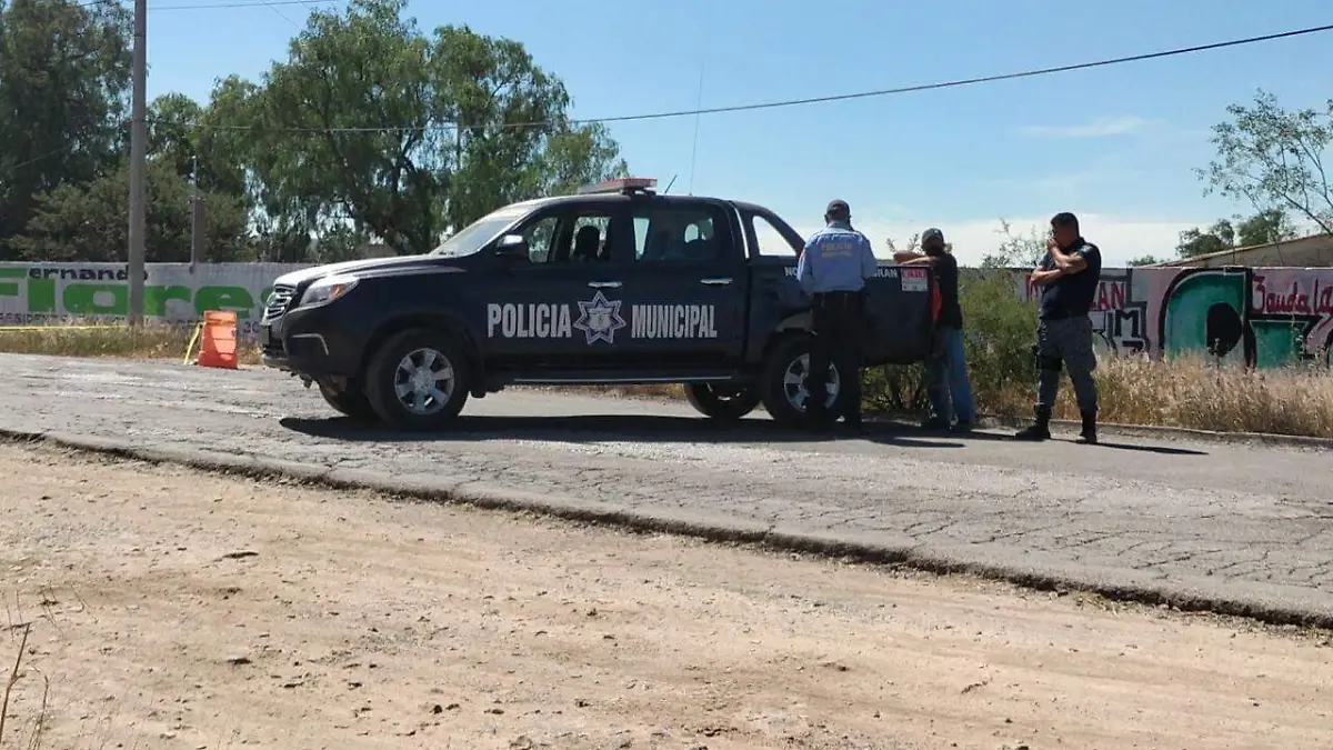 WhatsApp Image 2023-06-25 at 6.04.48 PM