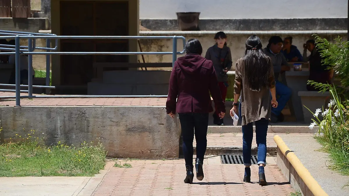 Los alumnos que participan en las investigaciones están a la espera de publicar sus artículos en revistas de divulgación científica.