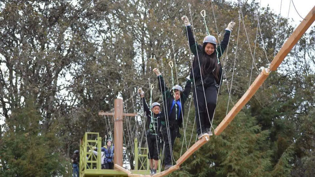 competencia - portada