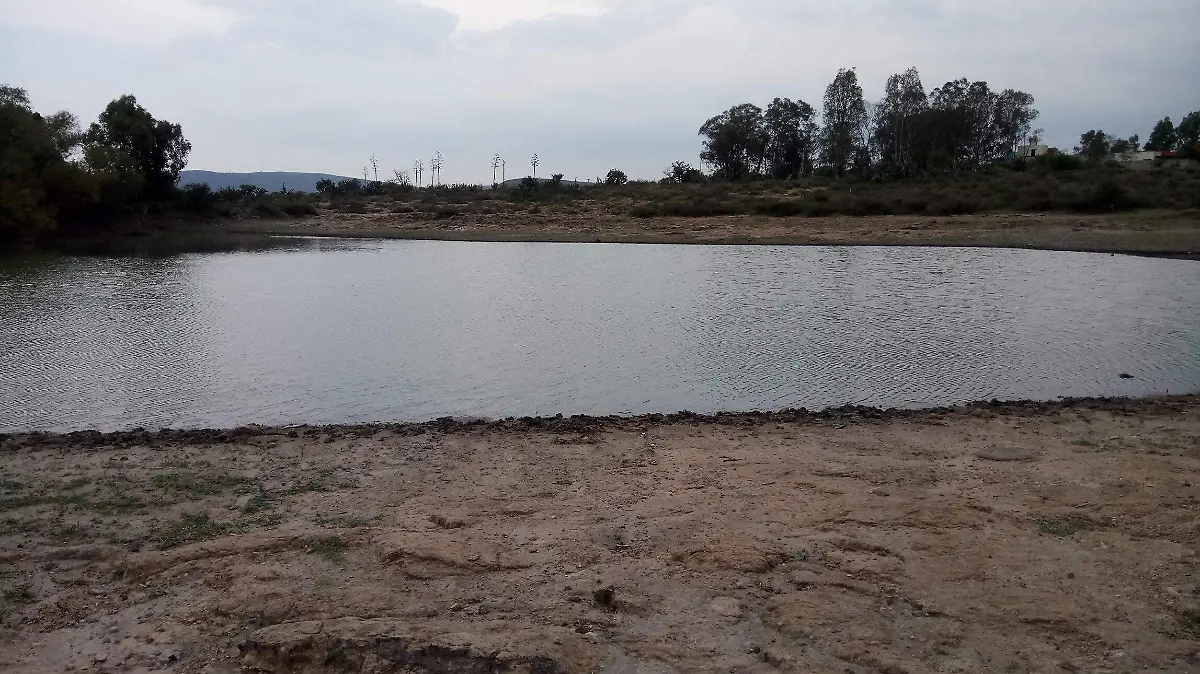 La poca captación de agua en bordos del municipio representa riesgo para la actividad