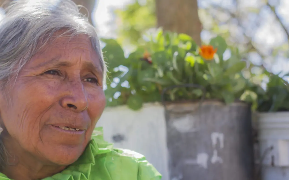 SJR Con amor enseña