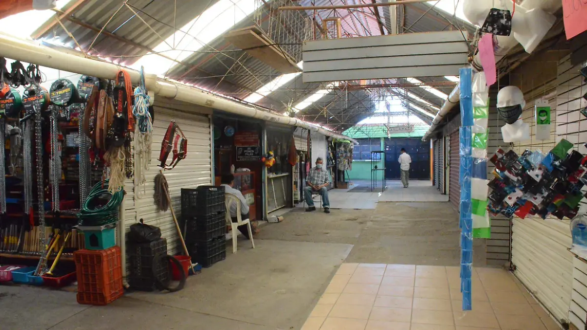 Enfrentan dif_cil situaci_n comerciantes del Mercado 5 de Mayo.  Luis Lu_vanos  El Sol de San Juan del R_o.