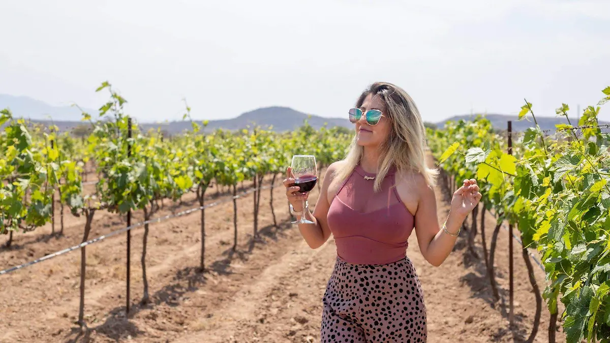 SJR Vino queretano