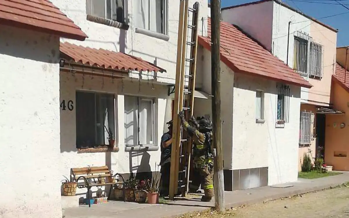 WhatsApp Image 2021-03-10 at 12.09.13 PM