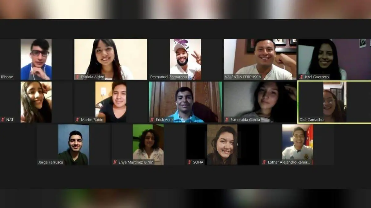 Se llevó a cabo una reunión de forma digital entre los jóvenes integrantes de Juntos Podemos
