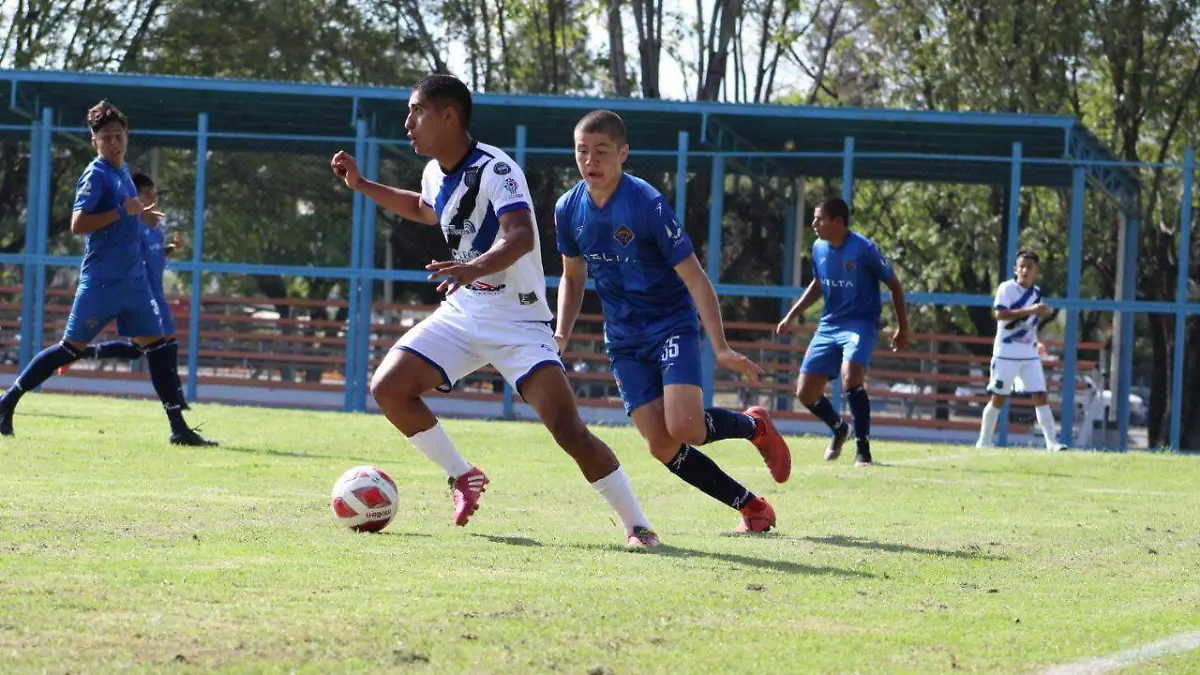 110de2fb-6c72-48cc-9133-75b29af9f0d6