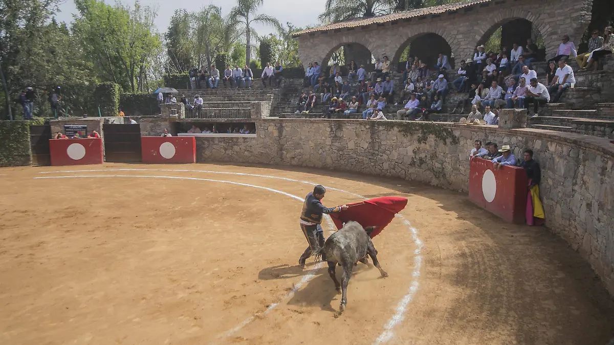 DEP22 Los aficionados prácticos 