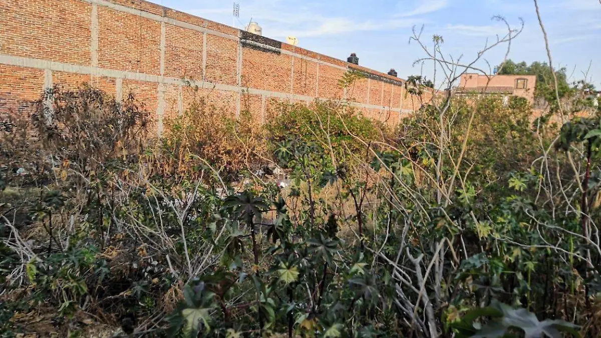 Vecinos de Las Rosas piden apoyo para sacar a los individuos que invadieron este predio.  Monsetrrat García  El Sol de San Juan del Río.