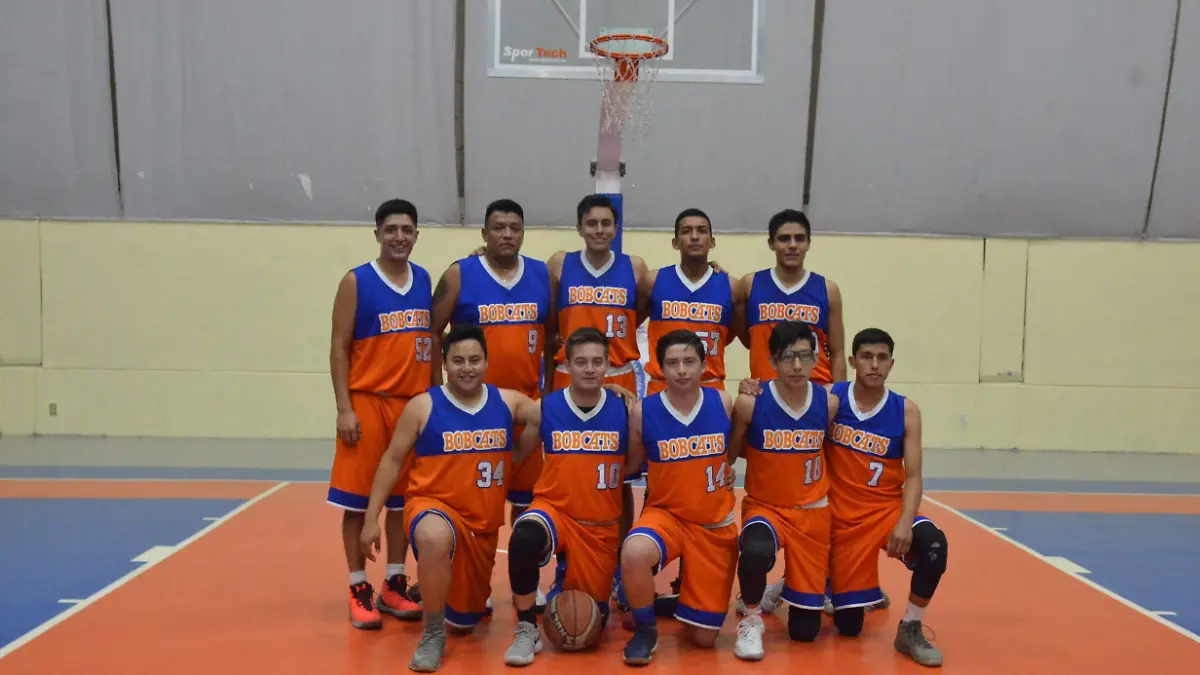 22 01 PRINCIPAL BODCAT´S