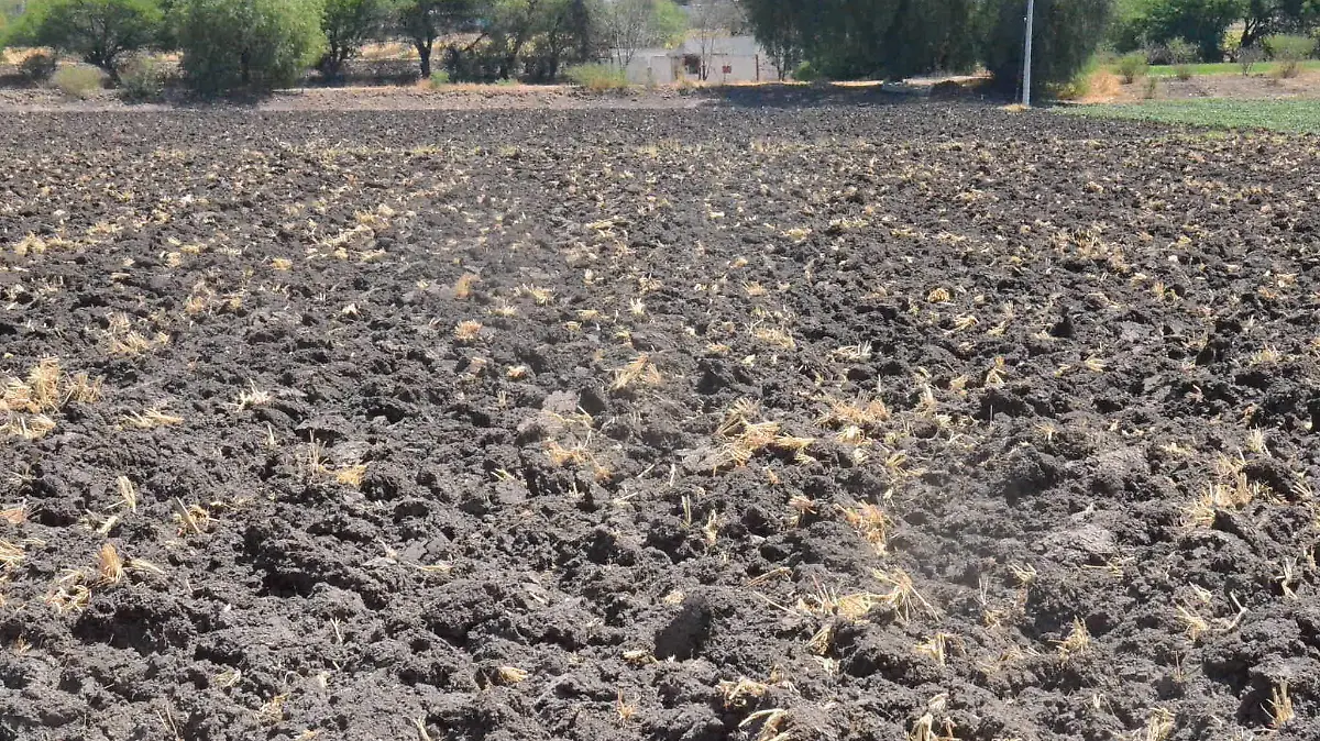 SJR Pese a lluvias