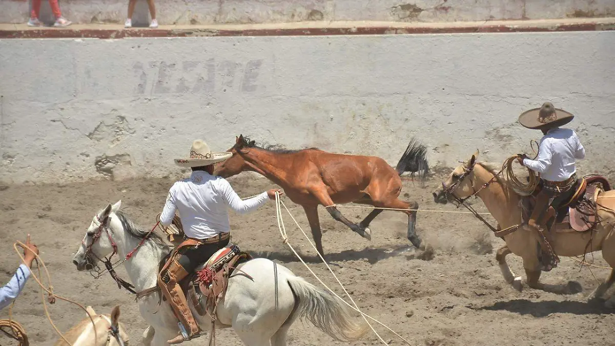 884573b2-caf3-41c0-99e1-904cca979d86