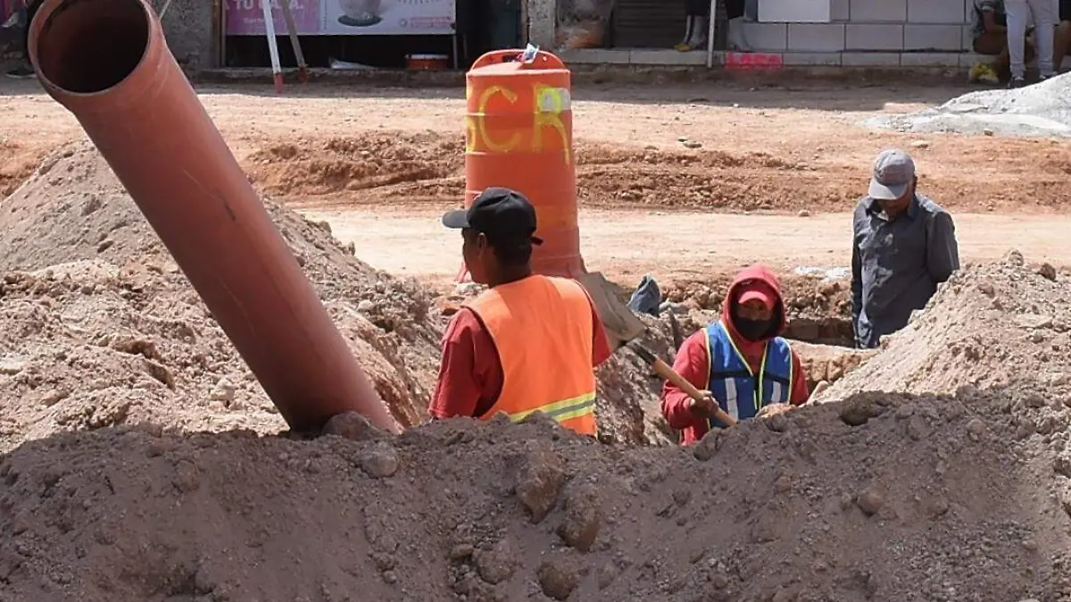 WhatsApp Image 2021-02-28 at 1.51.42 PM