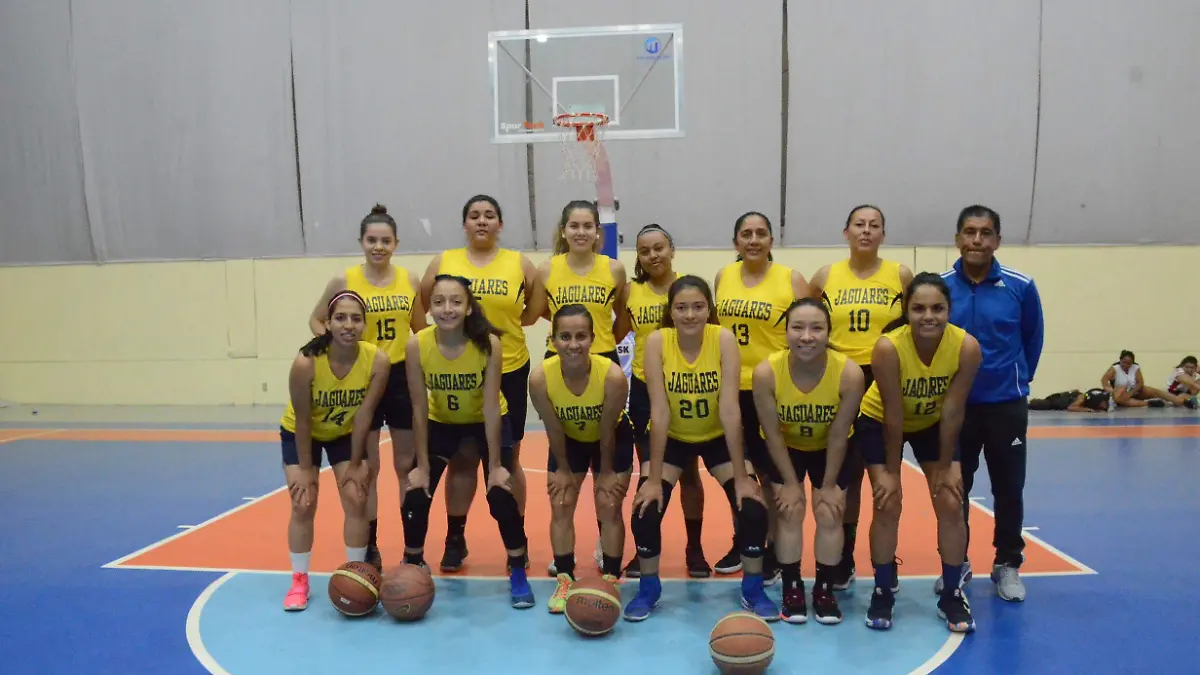 31 01 PRINCIPAL JAGUARES