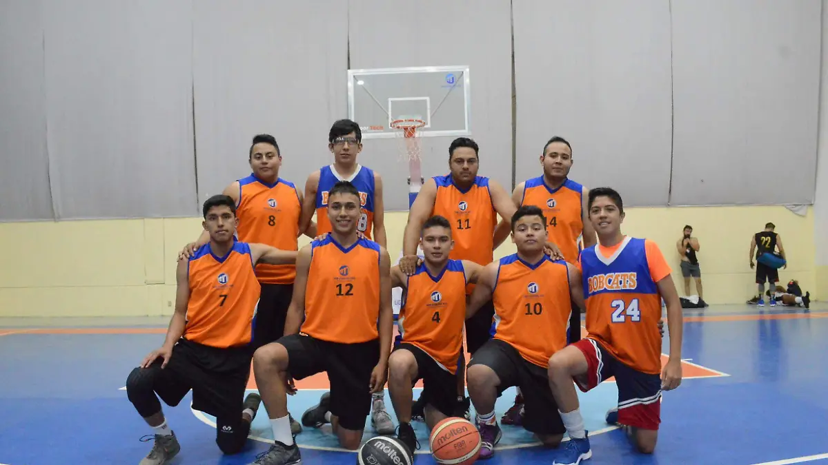 31 01 PRINCIPAL BOBCAT´S
