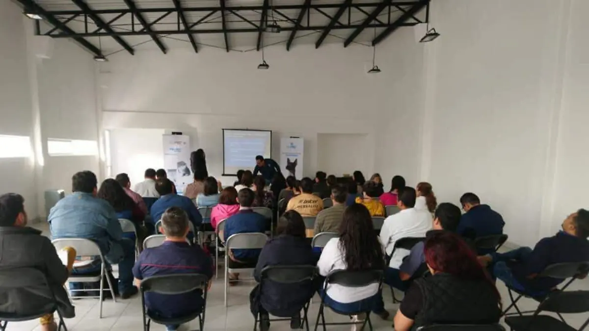 Apostarán por la innovación tecnológica. Foto @Federación de Profesionistas.