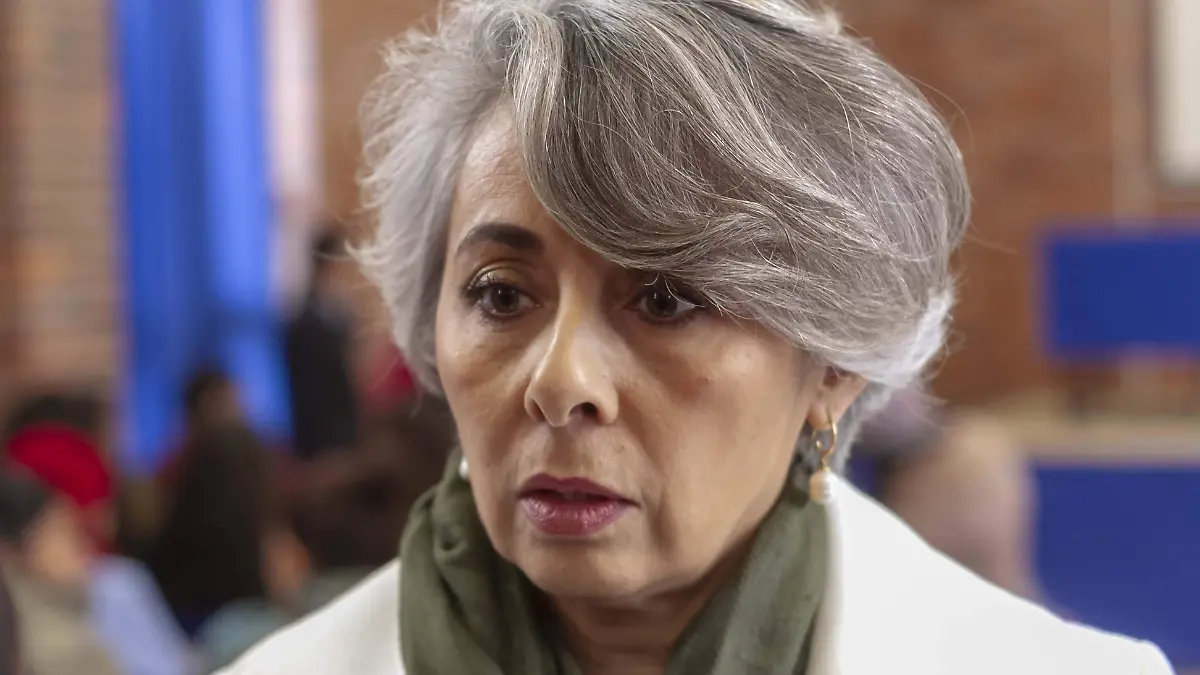 Maricruz Ocampo Guerrero, integrante de Centro Latinoamericano para la Paz, la Cooperación y el Desarrollo (Celapaz). Foto César Ortiz2
